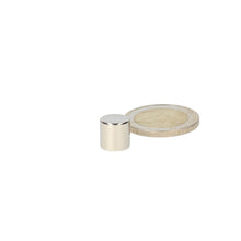 Neodymium Schijfmagneet Ø10 x 10 mm N48 NiCuNi