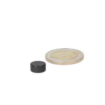 Neodymium Schijfmagneet Ø10 x 5 mm N42 Epoxy