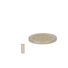 Neodymium Staafmagneet Ø3 x 8 mm N50 NiCuNi