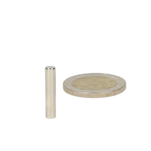 Bar magnet 4 x 20 mm