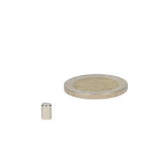 Neodymium Staafmagneet Ø4 x 6 mm N48 NiCuNi