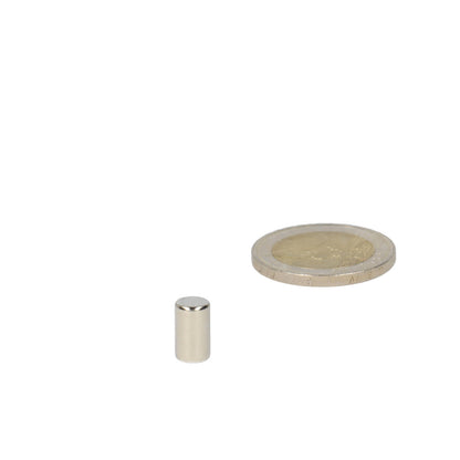 Neodymium Staafmagneet Ø6 x 10 mm N48 NiCuNi