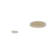 Schijfmagneet 10 x 1 mm (Zelfklevend) – Neodymium magneet