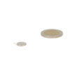 Disc magnet 11 x 1 mm (Adhesive)
